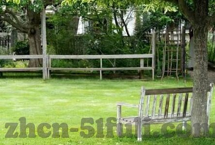 91麻豆磁力-寻找多元化的数字娱乐方式，91麻豆磁力的双面观察