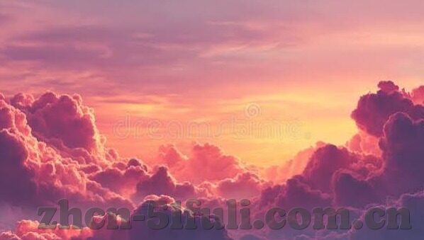 91麻豆精品国产91久久久久-