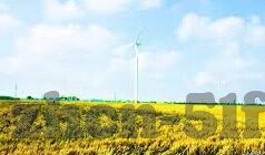大象传媒app汅api入口-大象传媒app汅api入口的真相与风险