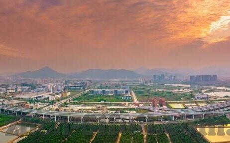 大象传媒入口伊甸园-探索大象传媒入口伊甸园的多元文化与创意空间