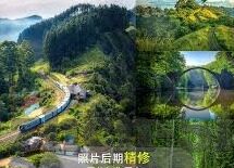 大象传媒郑州-郑州大象传媒，文化传播的坚实桥梁