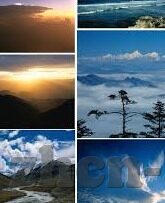 国产麻豆视频在线-攀升新高度，国产麻豆视频的多元发展和网络影响探微