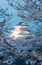 果冻传媒高清潘甜甜-探索果冻传媒高清潘甜甜，数字时代下的视觉盛宴与文化交融