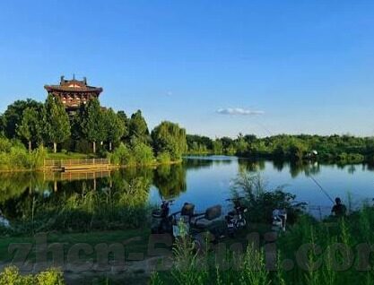 久久久麻豆91大神-从互联网的深邃档案谈久久久麻豆91大神