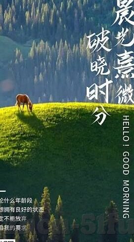 伦理片在线线手机版韩国免费6-伦理片，在线手机版韩国免费6的探讨与思考