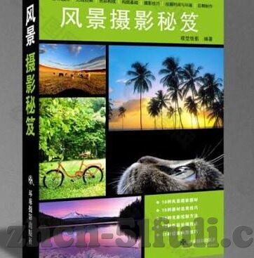 麻豆短视频免费-麻豆短视频的潜力与挑战，全解析
