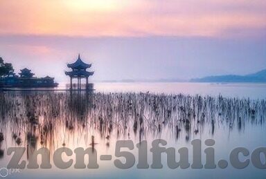 麻豆日记黄瓜视频下载-麻豆日记，黄瓜视频的探寻之旅