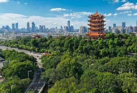 妈妈的朋友中文字幕电影-妈妈的朋友，一部温暖人心的中文字幕电影