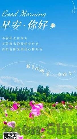 糖心app下载汅免费-避开易遭误解的盲区，健康与网络安全并重，论互联网应用选择的智慧