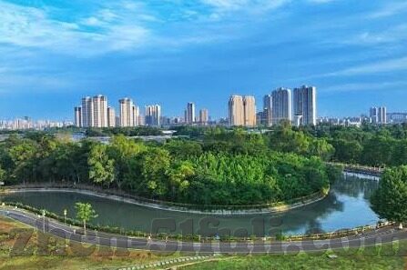 糖心黄台app软件下载-被禁止传播的真相，维护网络健康与安全的必要性
