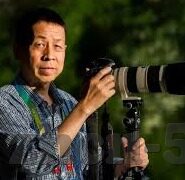 天美传媒果冻传媒在线-探索数字娱乐新领域，天美传媒与果冻传媒的在线创新
